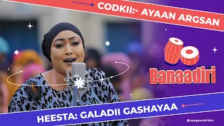 Heesta Galadi Gashayaa | Ayaan Aragsan | Heesaha Banaadiriga ee Bile Media