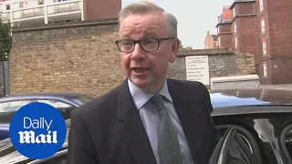 Michael Gove is '100 percent' behind Theresa May's Brexit plan