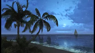 1 hour of Tropical Beach Sounds at night. Relaxing sea waves to help sleep.
