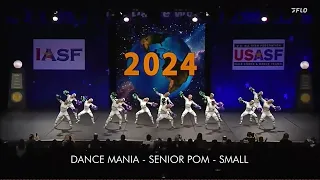 DANCE MANIA SENIOR POMS SMALL