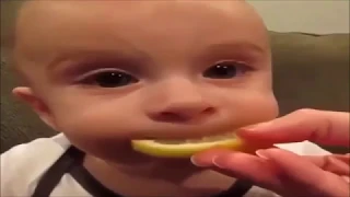 Bebé prueba limón por primera vez 😂  - VÍDEO DE RISA