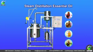 Steam Distillation Essential Oil