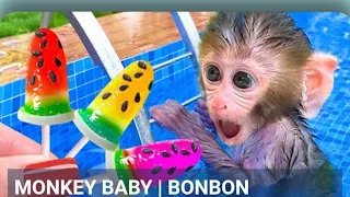 monkey baby bon goes to buy water melon ice cream and swim with duckling in the pool😂