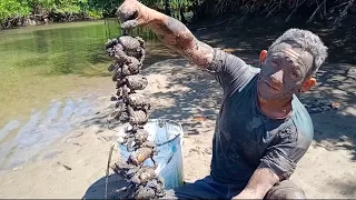 PEGAMOS CARANGUEJO E PREPARAMOS COM CAMARÃO!