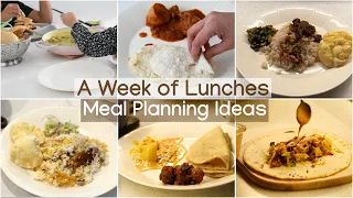 A Week of Lunches | What we ate Everyday| Meal Planning Ideas