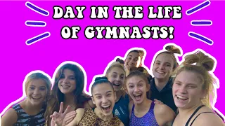 Day in the Life of Gymnasts!