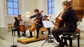 Dvorak Cellokonzert, Bearbeitung für 5 Celli - Maximilian Hornung