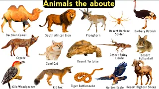 Animals the aboute | Explained| | Voice | English / Datacamparisonwork