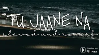 TU JAANE NA 🎵🎧💗 | slowed and reverb version | #music #lofimusic