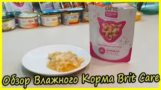 Супер Премиум Корм для Котов. Обзор Кошачьих Кормов Brit Care Pouches морской окунь