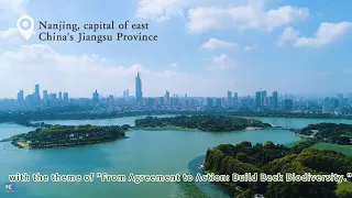 Aerial tour of east China's Nanjing