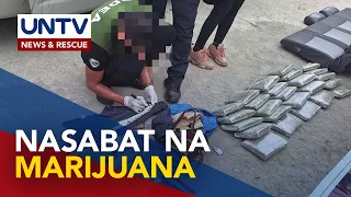 Higit P4.5-M halaga ng marijuana, nasabat ng mga awtoridad sa Kalinga