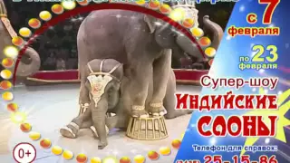 Супер-шоу "Индийские слоны" в нижнетагильском цирке