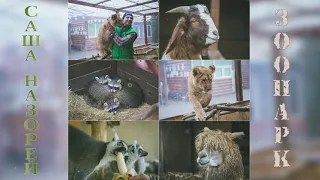 Саша Назорей (Дід) - Зоопарк (прем'єра пісні 2019)