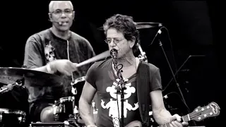 Lou Reed - Lollapalooza