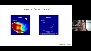 Prof Hamutal Slovin on "Encoding local stimulus attributes and higher visual functions in V1 of ..."