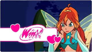 Winx Club - English (Turkish Styled) Transformations