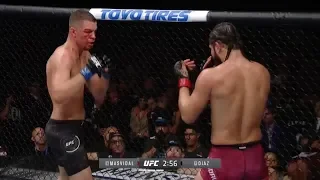 Хайлайты турнира UFC 244