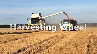 Harvesting Wheat with a Claas Lexion 580 Plus | Part 1 (2020)