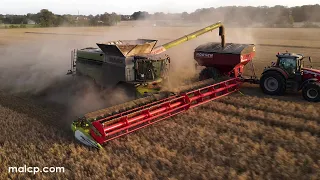 4Kᵁᴴᴰ Harvest 2023: Claas Lexion 8900TT harvesting barley in Hintlesham at sunset.