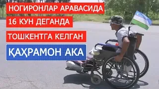 ҚАШҚАДАРЁДАН ТОШКЕНТНИ КЎРАМАН ДЕБ ЙЎЛГА ЧИҚҚАН ҚАҲРАМОН АКА!