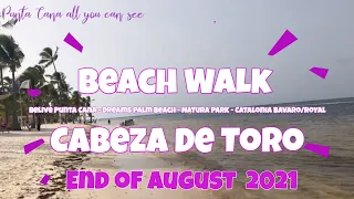 Seaweed Sargassum Punta Cana - end of August 2021 at the Beach of Cabeza De Toro