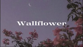 TWICE 트와이스 / Wallflower【日本語訳 和訳 意訳 字幕 歌詞 가사 lyrics】