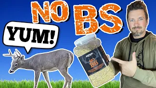 [UPDATE]🌱 No BS Throw & Grow Food Plot from Domain Outdoor. Bucks are Crushing this No Till Mix!