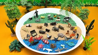 Tiny Animal World Diorama With White Tray | Farm Zoo Wildlife Sea Animals