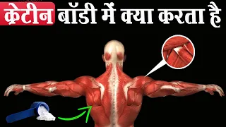 30 दिन क्रेटीन लेने से बॉडी मे क्या होगा | What Happens to Your Body On Creatine?