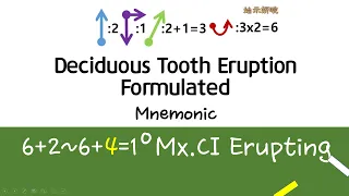 Deciduous Tooth Eruption Sequence Mastering_Formulated Mnemonics ┃ SiSi.Mnemonics