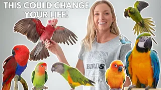 11 Parrot Owner Hacks