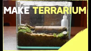 How To Build A Formicarium