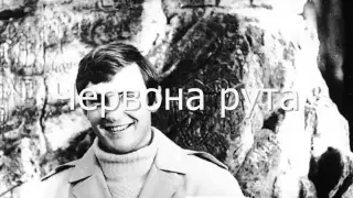 Денис Юрковський - 5-В НВК №141 "ОРТ" - представляє - Володимир Івасюк - Червона рута та Водограй