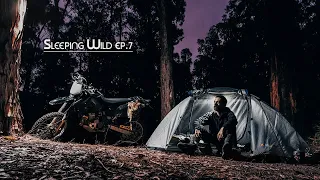 Solo Motorcycle Camping In The Forest | Sleeping Wild Ep.7 | Silent Vlog