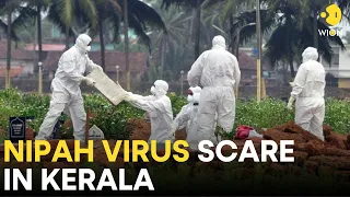 Nipah Virus Scare in Kerala LIVE: Indian state of Kerala on high alert to control Nipah outbreak