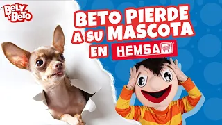 BETO Pierde a su Mascota en HEMSA - Bely y Beto