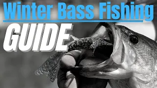 WINTER Bass Fishing COMPLETE GUIDE // Where do They go in Cold Water??