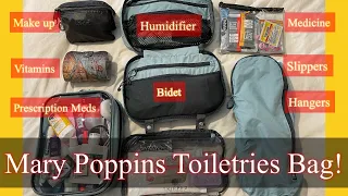 TRAVEL ESSENTIALS! Toiletries I Carry for a LONG Term Trip!