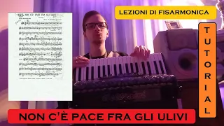 Lezioni di Fisarmonica - Non c'è pace fra gli Ulivi [Tutorial] | Manuel Burroni [HD]