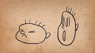 1. Squash & Stretch - 12 Principles of Animation