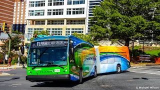 Montgomery County Transit Ride On NEW!!! FLASH BRT 2020 Novabus LFSA In Action