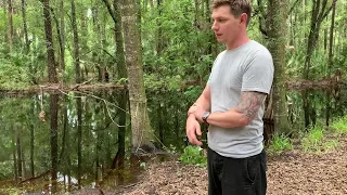 Wesley Chapel man fights off gator to save dog