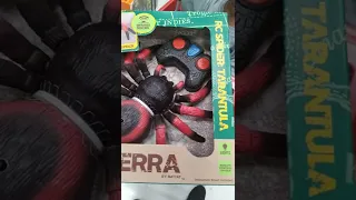 Terra the toy spider with really climbing action