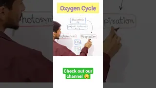 Oxygen Cycle in 60 Seconds ✅ What is oxygen Cycle in hindi? #biology #class9