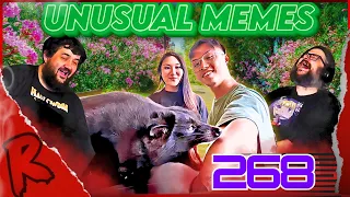 UNUSUAL MEMES COMPILATION V268 - @UnusualVideos | RENEGADES REACT