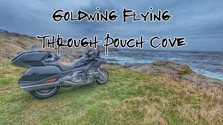 Goldwing Flying Through Pouch Cove