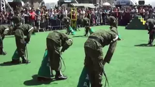 Exhibicion De Adiestramiento Canino Militar (Febrero 2013) Zocalo Capitalino