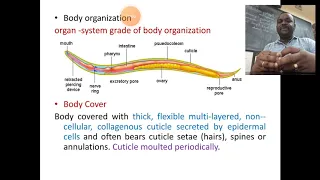 Nematoda: General Characters with examples