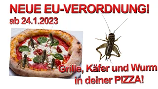 EKELALARM! NEUE EU-VERORDNUNG ab 24.1.2023! GETREIDESCHIMMELKÄFER UND HAUSGRILLE BALD DEINEM ESSEN!